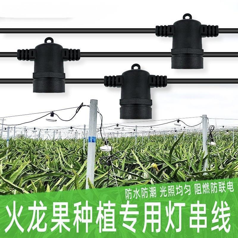 火龙果专用补光灯串线反季催熟画促植物生长补光灯蔬菜大棚百香果