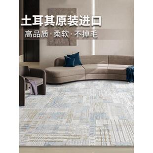 塞尔维亚土耳其地毯客厅无障碍豪华高端卧室柔软安静的床边毯子沙