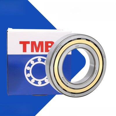 天马TMB圆柱滚子轴承N NU NJ210 211 212 213 214 215 216 217 EM