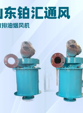 铂汇D55B-509000A小机组排油烟风机汽轮机油箱风机油烟净化装置