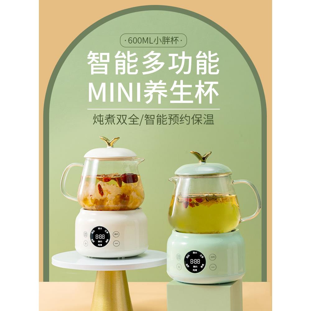 办公室玻璃养生杯小型家用迷你养生壶多功能煮花茶壶电热杯煮茶杯