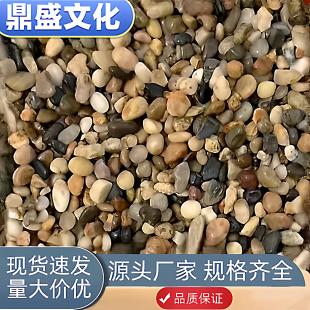 广西天然河沙溪流沙鹅卵石原生水族鱼缸水草缸过滤豆石多肉铺面小