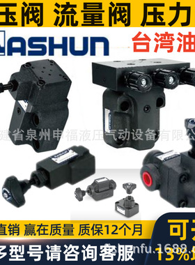 ASHUN油顺压力流量溢流减压阀S RV BSG BRV BRCV TV TCV -01/2/3