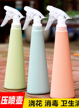 家用手压园艺浇花壶喷雾壶气压小喷壶浇水盆栽花卉绿植喷水多肉壶