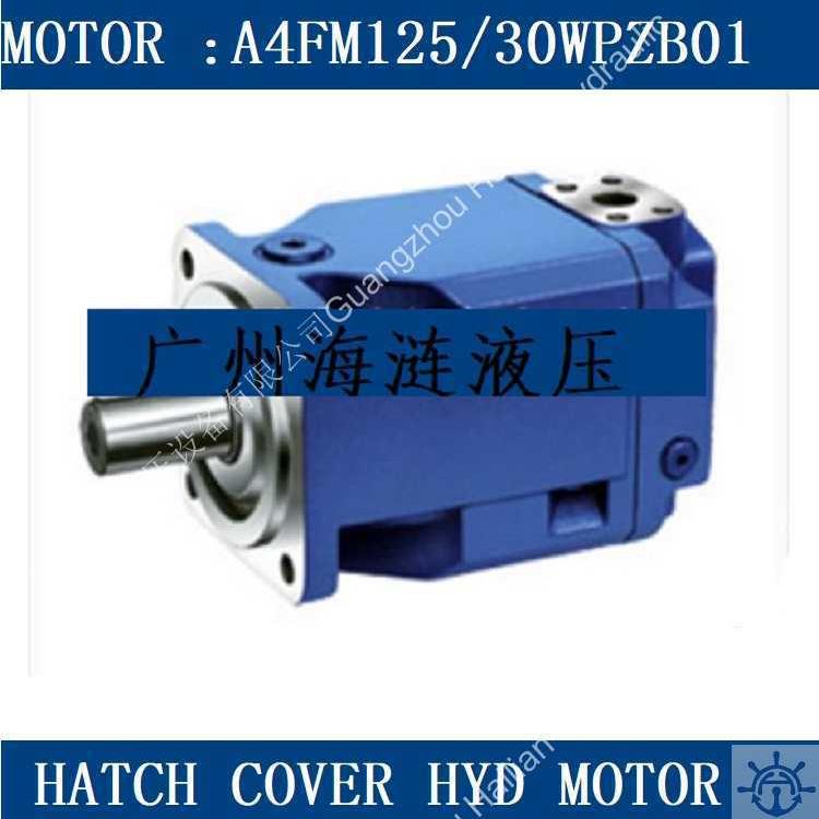 A4FM125/30WPZB01舱液压马达hyd motor luffing crane macgregor