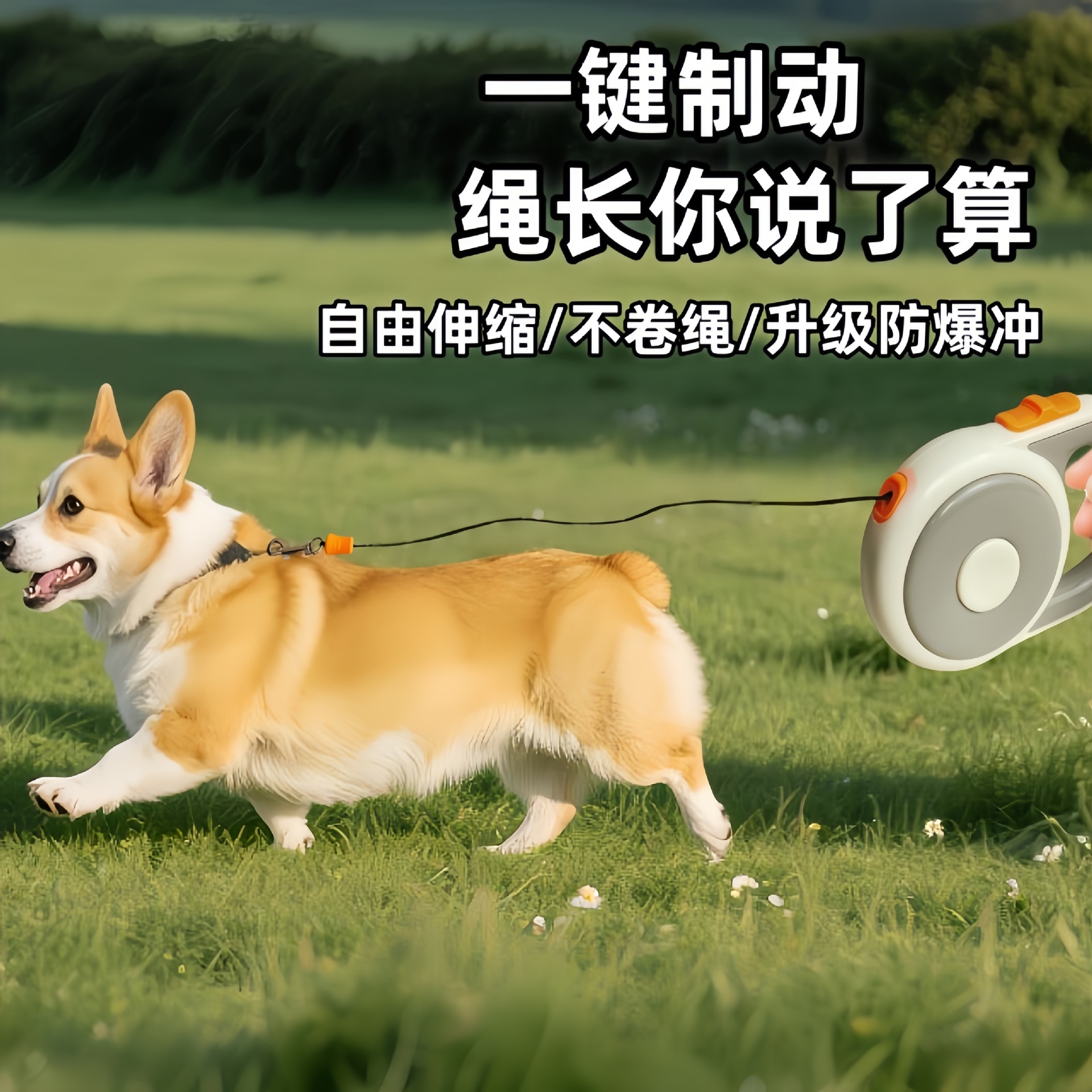 伸缩牵引绳一键制动外出防爆冲牵狗绳中大型自动防挣脱狗狗牵引绳
