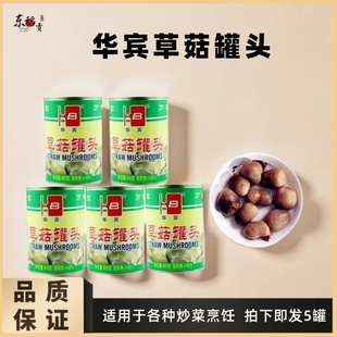 福建特产华宾牌草菇罐头食用菌草菇新货美味佳肴400g*5罐多省包邮