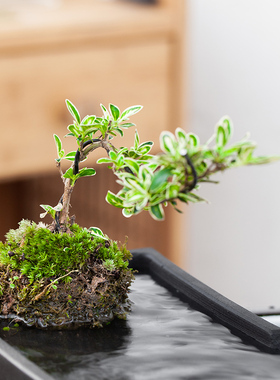 简约小鱼缸循环鱼池喷水流水器水景观瀑布摆件造景循环水装饰配件