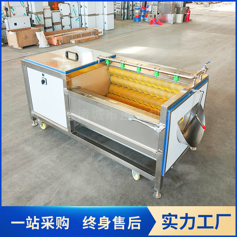 商用毛刷清洗机  全自动红薯土豆清洗去皮机 货源厂家 大型洗姜机,清洗/食品/商业设备,洗果机/洗菜机,淘宝优惠券,粉丝福利购,淘宝优惠卷