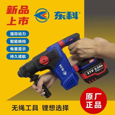 东科DGT21318充电电锤无刷电锤电镐两用大功率科王厂家强力