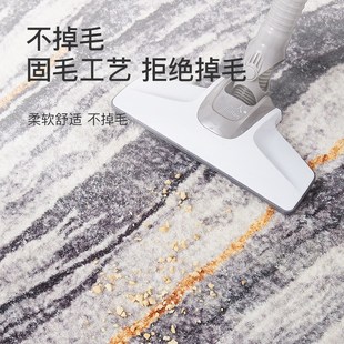 卧室床边毯羊感绒客厅满t铺大面积毛毯地垫家用儿童房间长条地毯