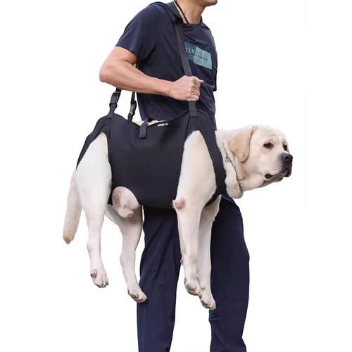 狗狗行走全身辅助带高老年残疾犬前后肢康覆训练走路助力协助背带