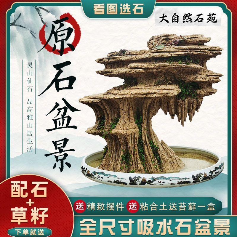 中大型吸水石上水石假山盆景园林观光石天然原石水秀石庭院镇宅石