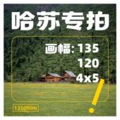 胶卷冲洗扫瞄 哈苏冲扫专拍 照片冲洗 1350Film