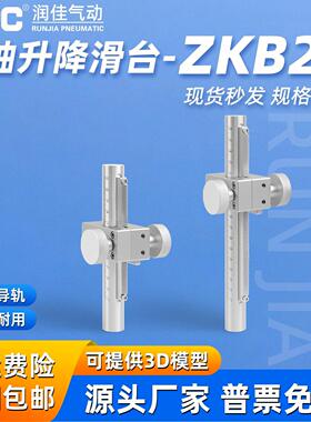 Z轴垂直升降滑台齿轮齿条型立柱平台ZKB20-150/200/250/300-110