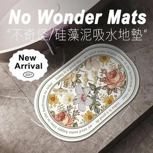 硅藻泥吸水硬垫家用卫生间防滑脚垫浴室门口软垫厕所速干地毯 欧式