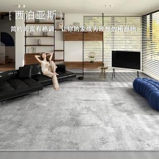 客厅地毯轻奢高级沙发茶几毯现代简约家用耐脏地垫可定制大尺寸垫