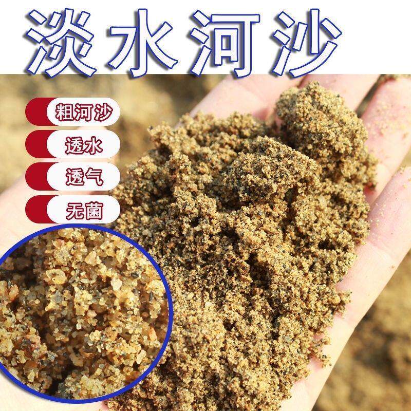 天然粗河沙子花用植物多肉颗粒土铺面石透气天然黄细砂鱼缸底沙子