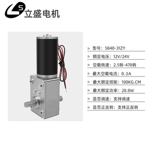 31ZY双出轴直流减速电机微型涡轮蜗杆低速调速小马达12v24v 5840