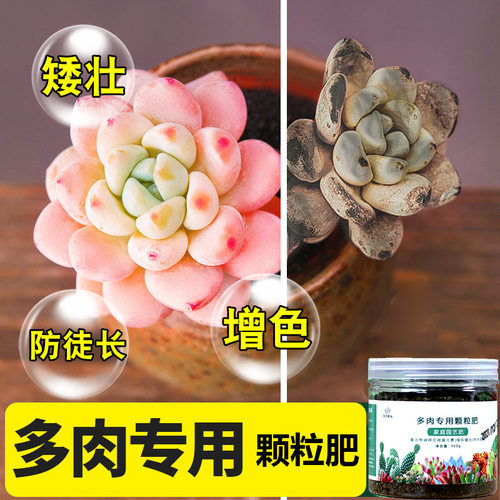 供应多肉复合颗粒肥料增色园艺缓释肥种花园艺360g