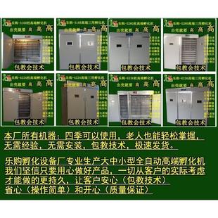家用鸡鸭鹅鹌鹑蛋全自动孵化机厂家 528枚双开门中型小鸡孵化器