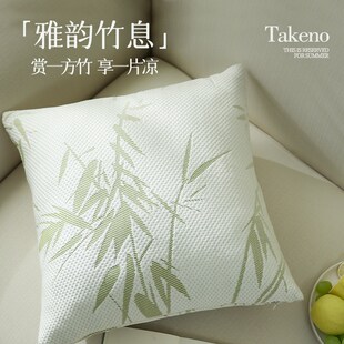 冰丝沙发靠枕高级感飘窗靠垫不含芯腰靠样板间装 抱枕客厅夏季 饰