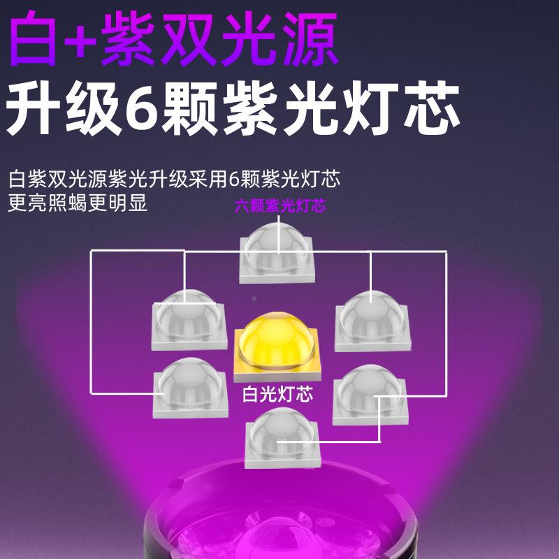 蝎子灯6紫光1超白光双光源大功率长ZJC+续航充电抓蝎子亮专用手电