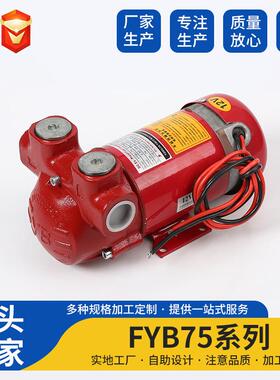 汽油泵FYBJ-75直流防爆油泵DCEx-ProofFuelTransrPump