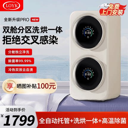 德国双舱全自动内衣洗衣机家用小型双桶内裤洗衣机双仓洗烘一体机