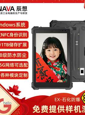 辰想W10N/10英寸工业三防平板电脑防爆车载加固windows11系统