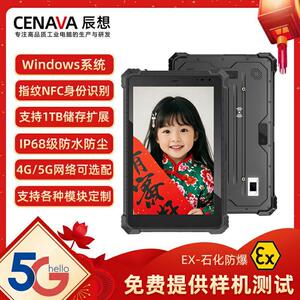 辰想W10N/10英寸工业三防平板电脑防爆车载加固windows11系统