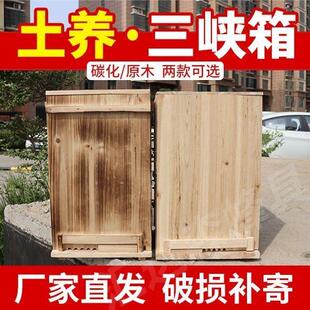 三峡蜂箱土养蜜蜂箱中蜂立式诱蜂桶蜜蜂杉木养蜂老式蜂桶全套巢框