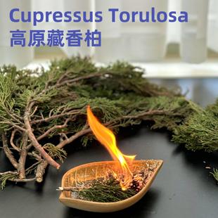 西藏高原藏香柏 天然植物香薰 居家熏香 放松舒缓睡眠