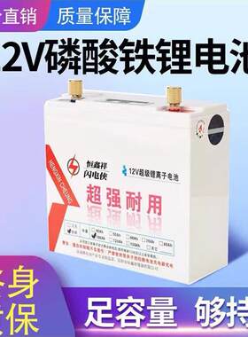 闪电侠磷酸铁锂12V锂电池大容量动力蓄电瓶大功率超轻小体积防水