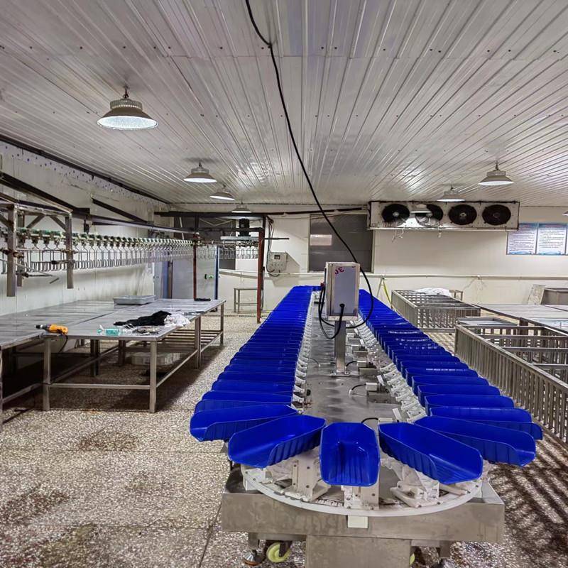 全自动海子重量分选机生蚝牡蛎称分58843分选蛎机自动重上料选流