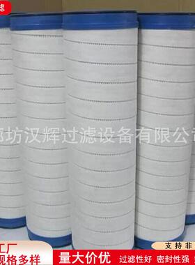 H9801FKP8H发电厂滤清YTD器CHC9801FKP8H凝水除结铁滤过芯