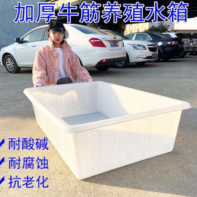 塑料水箱长鱼方383形加水厚牛盆筋大号储桶卖鱼浅养周转箱水产养