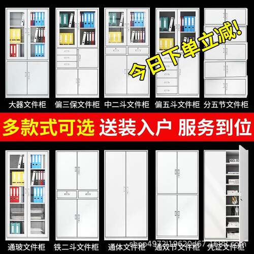 钢制办公室工文皮件柜铁资料柜带锁矮柜储档案柜员柜子物柜收xc-2