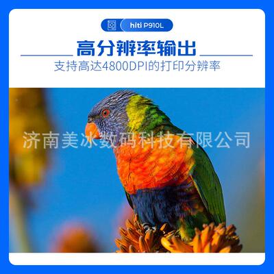 呈妍h文itiP910L热升华照片HiTi呈妍照打机相馆图店打印机印商用