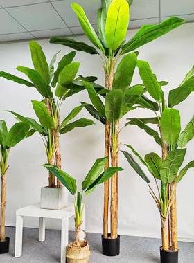 仿真植物芭蕉树内摆型件大BJ-18745室盆栽香蕉软装造景落地假树绿