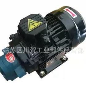 原装WJP油泵电机R头OP-泵MA/4HP200W泵620齿轮泵电机1组