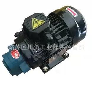 4HP200W泵620齿轮泵电机1组 泵MA 原装 WJP油泵电机R头OP