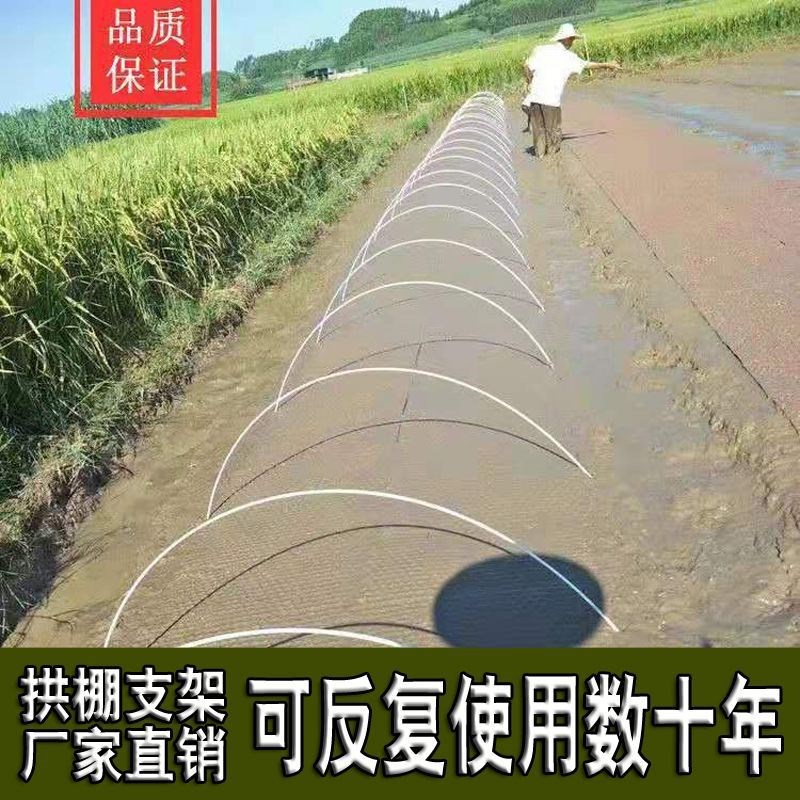 【50支装】弹性实心p农用蔬菜保温小拱棚杆育苗支架玻璃纤维杆