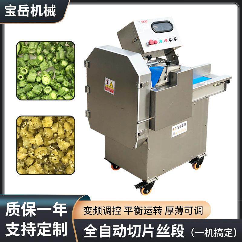 根茎类蔬菜类切片切丝机柜式商用切丝机大功率大口径带面板切丁机,清洗/食品/商业设备,其他食品加工设备,淘宝优惠券,粉丝福利购,淘宝优惠卷