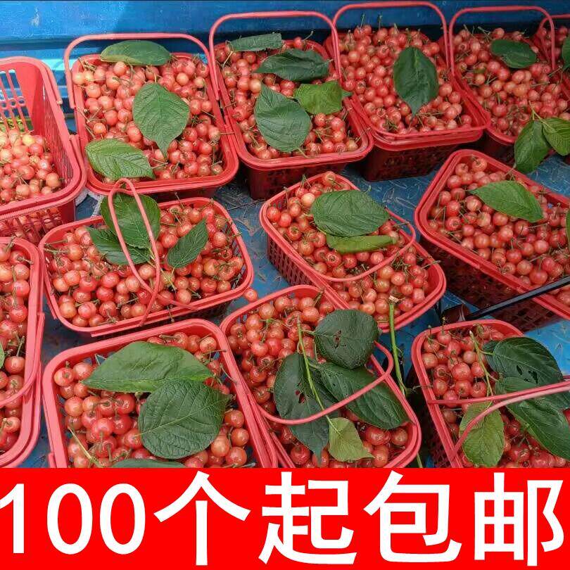 草莓采摘篮子手提方形水果筐2-12斤杨梅篮樱桃桑葚葡萄塑料篮包邮