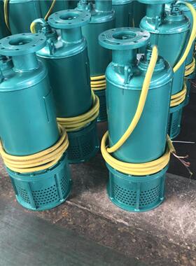 矿用防爆潜水电泵排砂泵380V660V1140污水泵Bqs井下泵Bqg隔膜泵