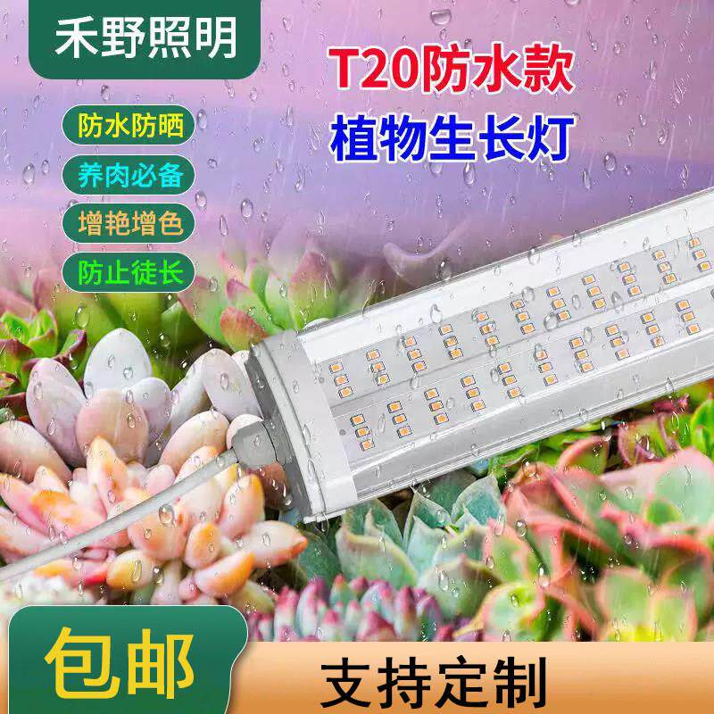 防水款T20全光谱植物生长灯太阳光多肉上色花卉补光灯大棚植物灯
