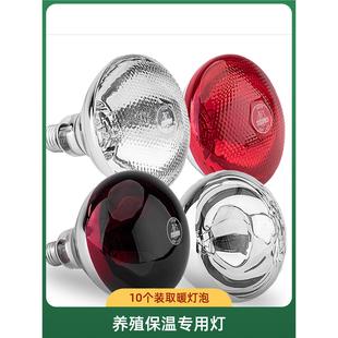 养殖保温灯泡加厚畜牧防水防爆仔猪加热灯小鸡育雏烤灯猪舍取暖灯