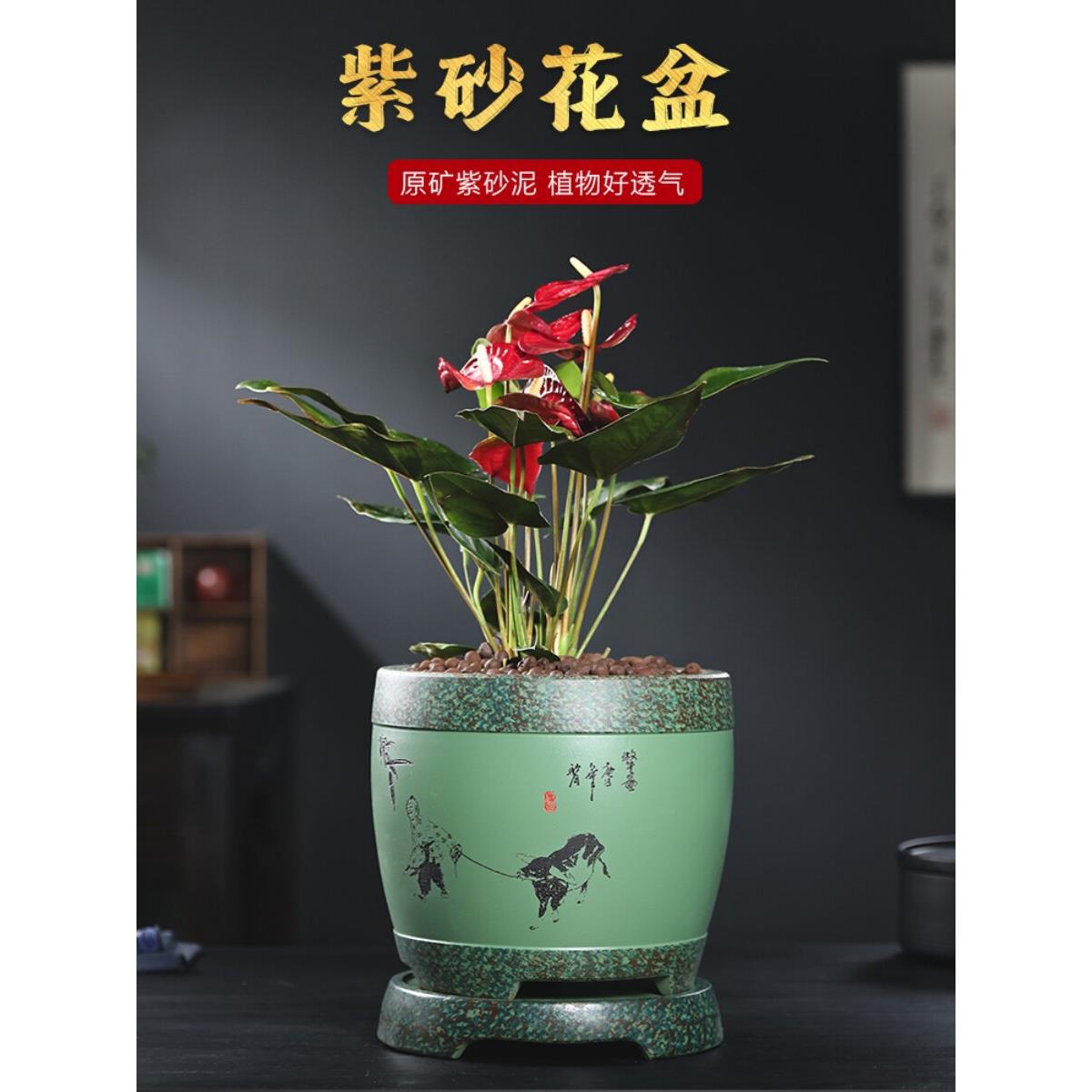 精致紫砂花盆网红花卉绿色植物盆景兰花花盆Clivia花盆阳台古董室