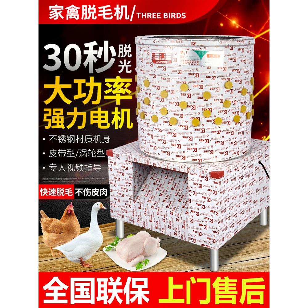 商用三鸟脱毛机鸡鸭鹅电动家禽乳猪去毛拔毛机不锈钢洗番薯土豆机
